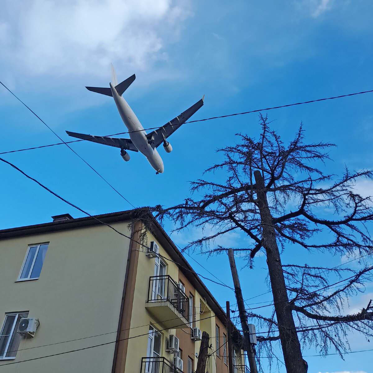 Подсмотрено в Адлере: река Хeрота, робот-мороженщица, памятник Бестужеву и  другое внезапное | Душевный шагомер | Дзен