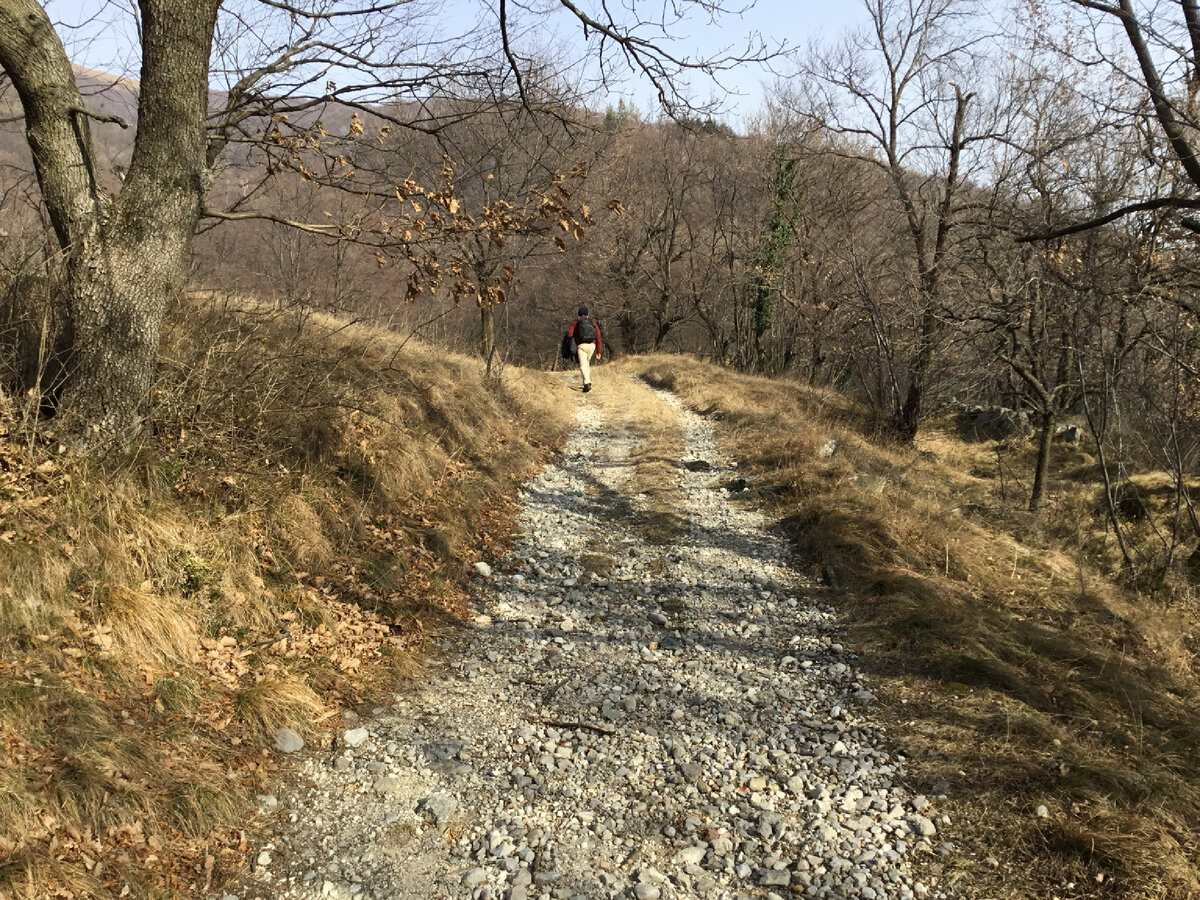 И пошли. Пини все время сомневался туда ли идем…