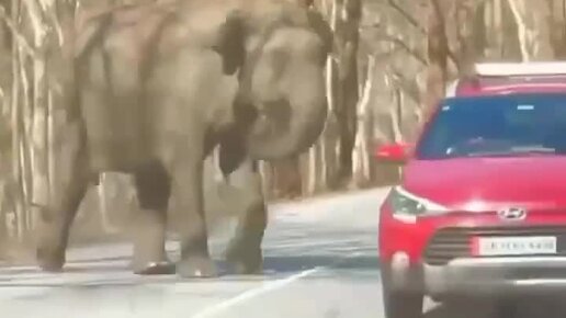 после ночи наступает рассвет цитаты. как и сегодня даже в самой. афоризмы и статусы о сильной женщине. выходной карикатура. бывает найдёшь человеку оправдание а оно ему не подходит.