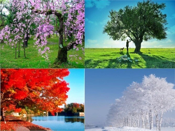 Природа в 4 сезона