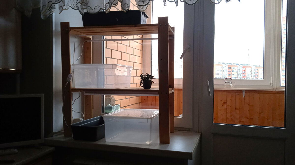 Стеллаж на кухне.