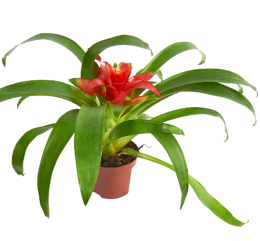 Цена от 500 до 1800 руб (февраль 2024) из каталога Леруа