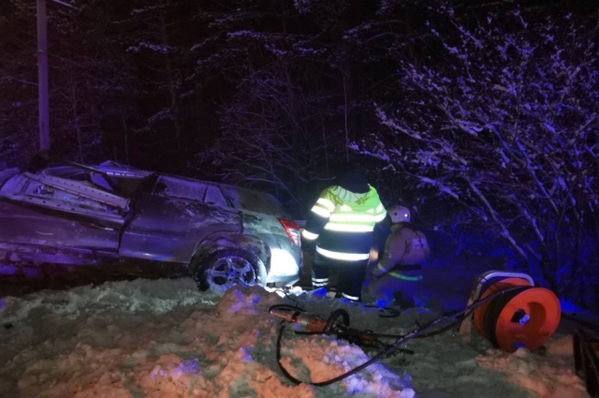 Управляющая компания кот березовский. Ук кот березовский. Ук кот березовский. Управляющая компания кот березовский телефон. Группа котлар.