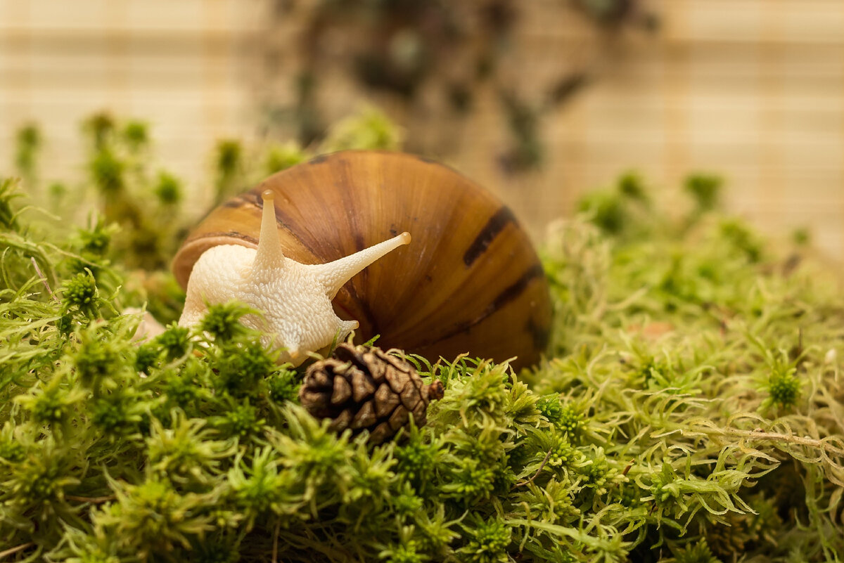 Источник фото: Canva