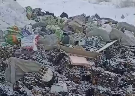   «У барыг нет ни чести, ни совести». В Омске обнаружили свалку с яйцами
