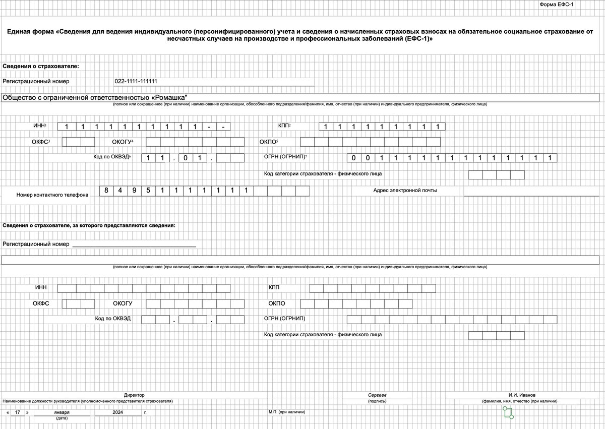 Ефс 1 нулевой отчет 2024 образец