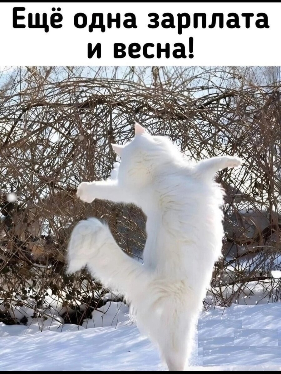 будь сильной держись. картинка держись веселая. ну держись моя жизнь видео. жизненные приколы в картинках и стихах. держись подруга картинки.