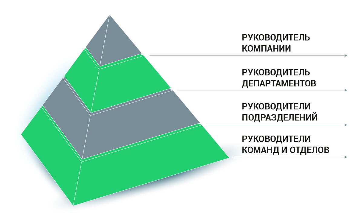 Как управлять несколькими отделами компании | Полезное чтение Мегаплан |  Дзен