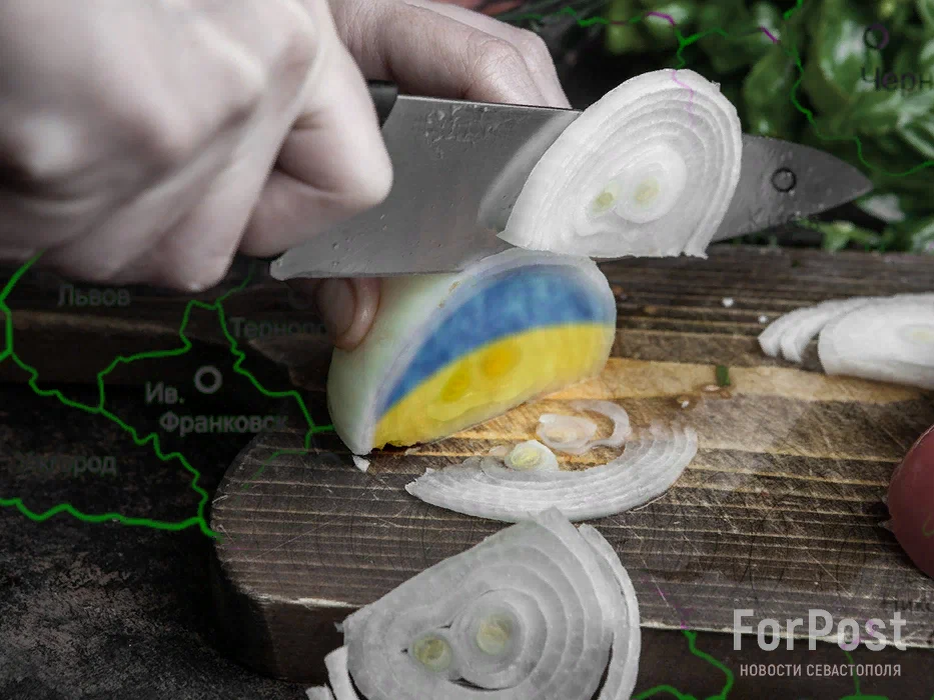 Коллаж ForPost: ЕС неважно, что будет с остатками той Украины.