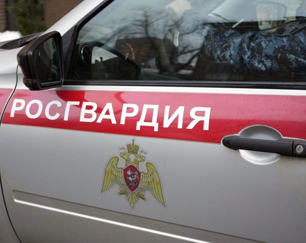 Незаконный оборот оружия статистика. Уголовно-правовая характеристика преступлений. Статья 222 уголовного кодекса. Незаконное приобретение оружия. Уголовная ответственность за незаконный оборот оружия.