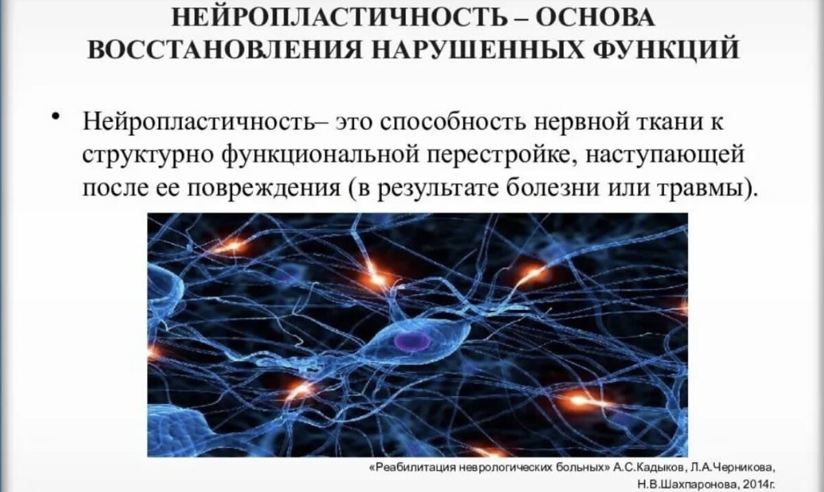 Мозг пластичен. Нейропластичность. Нейропластичность мозга. Нейронные феномены пластичности.. Виды нейропластичности.