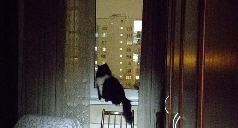     Фото: страница заведующей библиотекой № 248-1 в Москве Елены Акиновой в социальной сети «ВКонтакте» / Соцсети