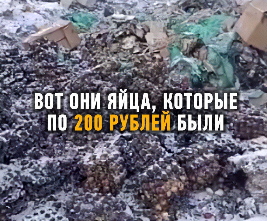 Очередное подтверждение происходящего в духе "Всё, о чем писала советская пропаганда про Запад, сбывается теперь в России!".