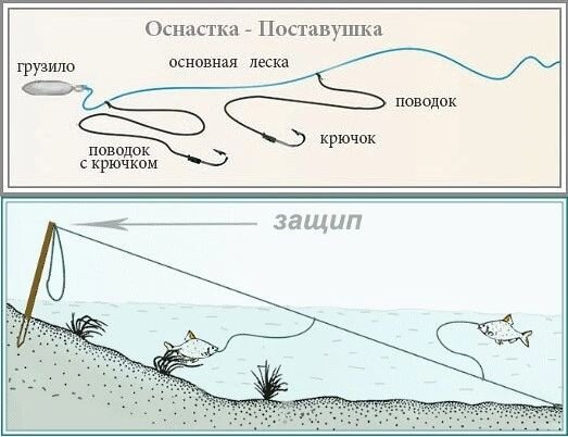 Жерлицы для судака и берша