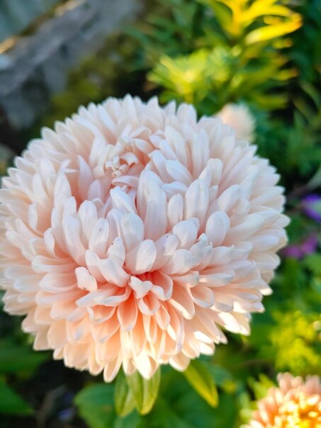 шилов портрет матери. стих мама скандалов как огня боится. стих - платочек для бабушки. читать чужая жена история от бабули. стихи мама ждет.