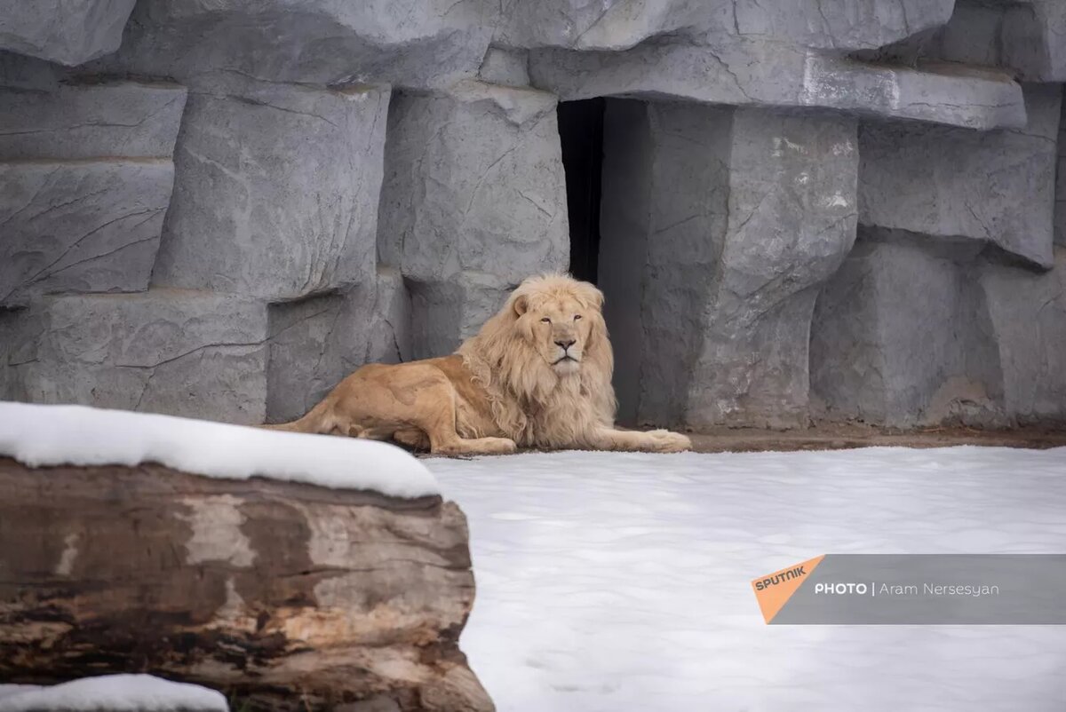 групповой психологический тренинг. группа людей. беседа людей. человек радостный. юношеский возраст.