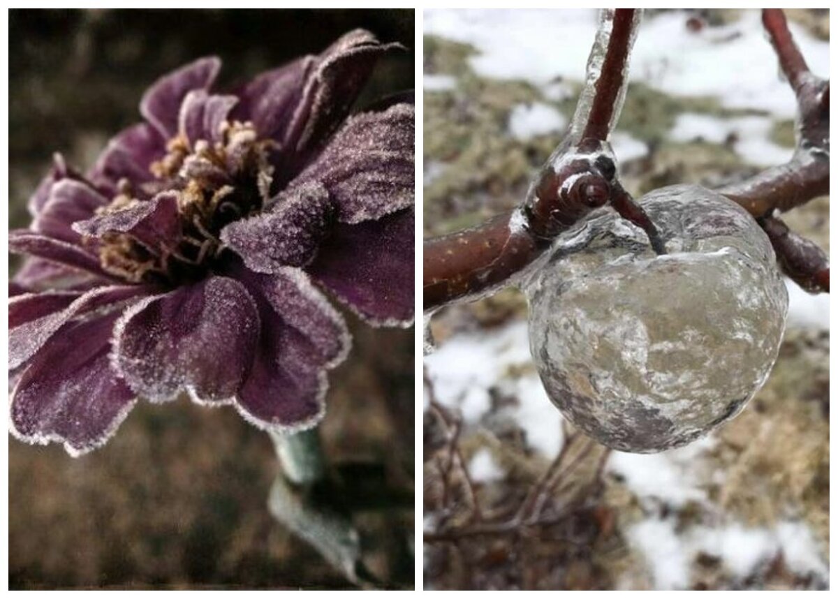 2. Ноябрь-Декабрь.