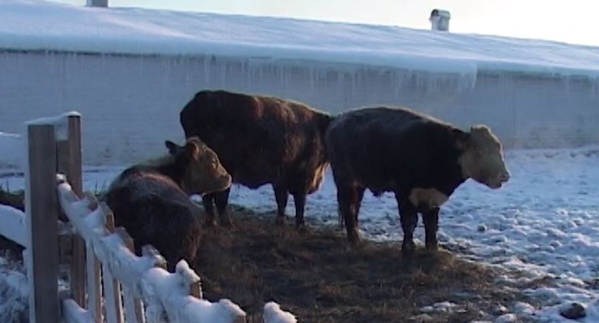Город сургут тюменской области. Город югорск памятники. Фонтанная площадь югорск. Югорске на 5 дней. Югорск миг 25.
