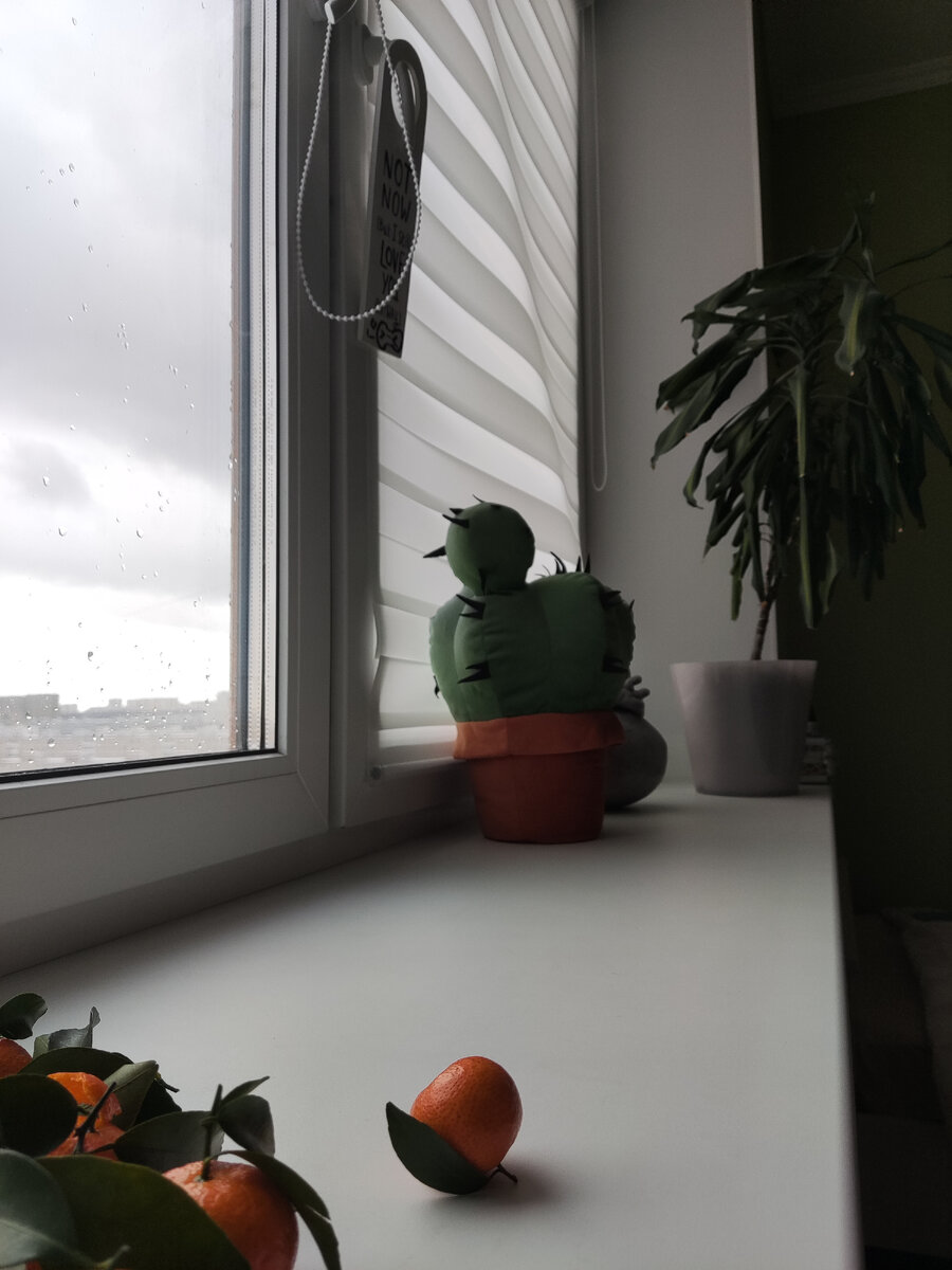 Photo by Serova Elena