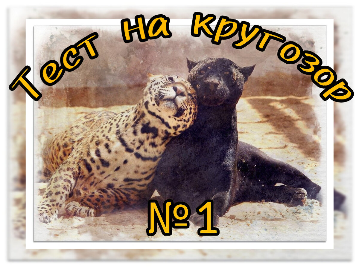 Тест на уровень реакции