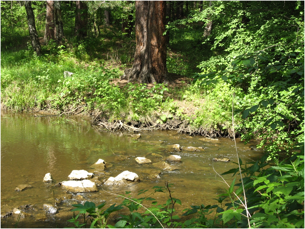 По камушкам... Фото автора.