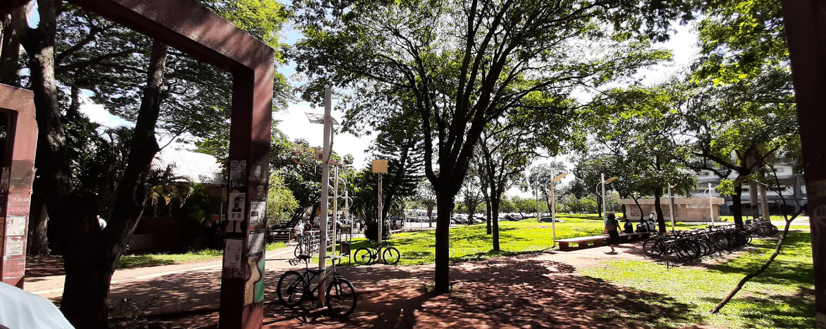 Кампинас (штат Сан-Паулу)