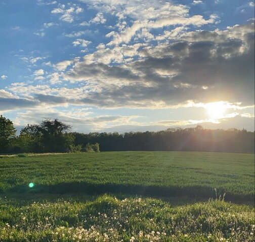 ласковое слово словно солнышко. песня про солнце текст. текст песни солнышко. ласковое слово словно солнышко в ненастье. детское стихотворение про подсолнух.