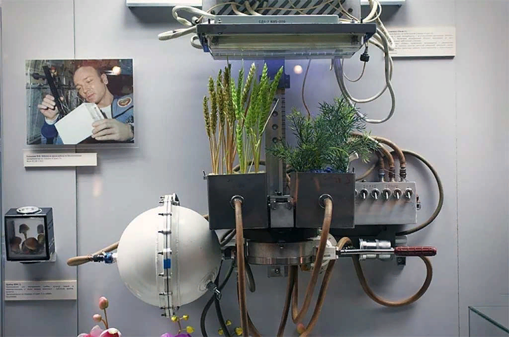 А вот и установка, с помощью которой советские космонавты вырастили лучок!