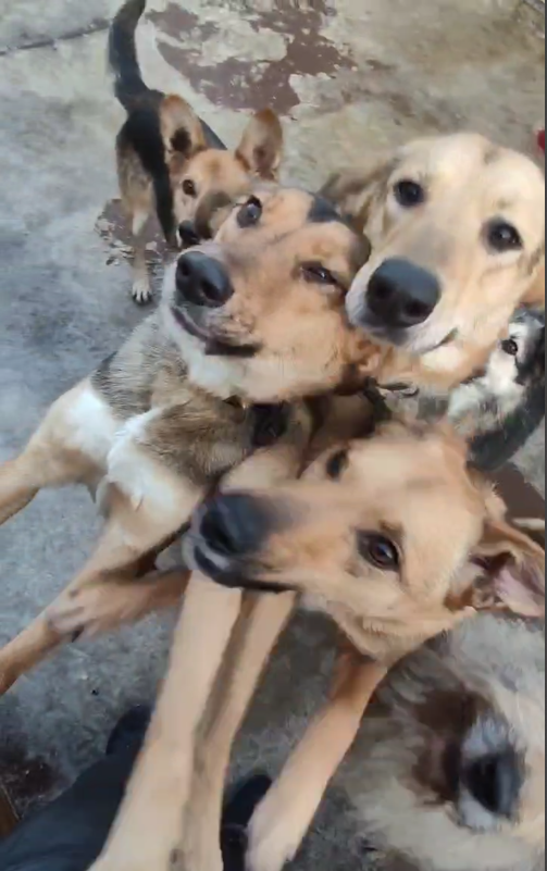 ты не хочешь дружить. подростковые фразы. хочу приятеля. супружеский долг в постели. люблю дружить с мужчинами.