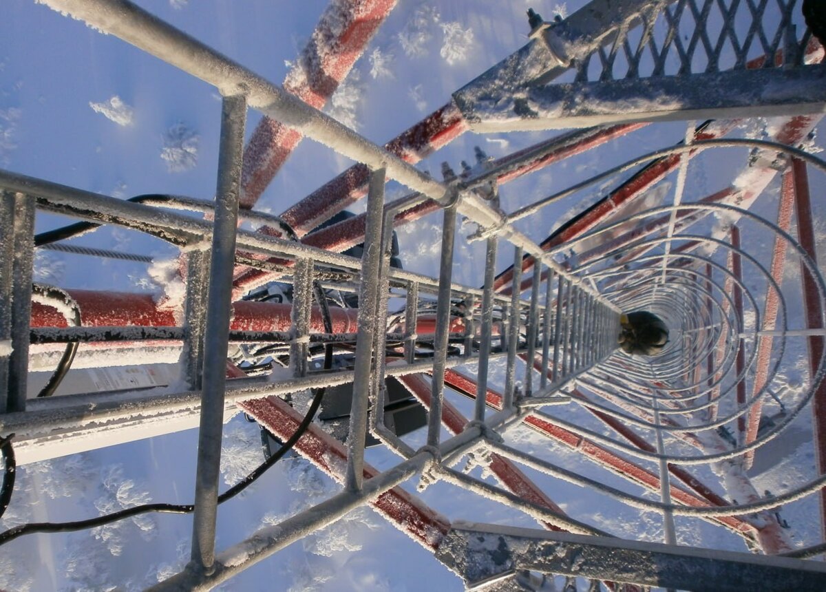Фото предоставлено Tele2