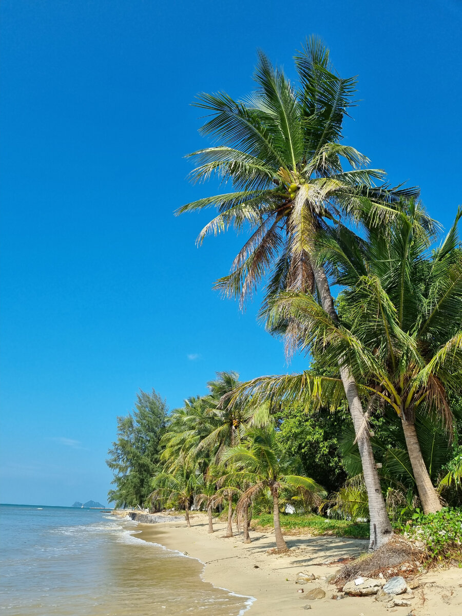 Панган. Фото автора статьи