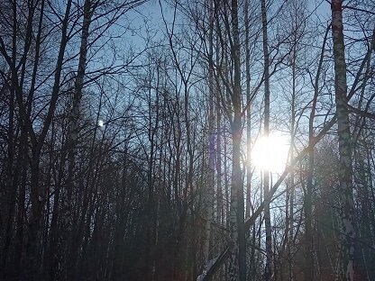 Фотография из личного архива автора