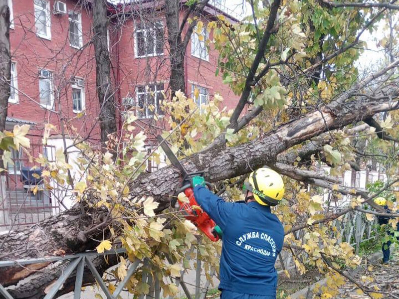 13025 самолет погибших. Юлиана маргарет кёпке. Ермак самолет легкомоторный. Самолет упал девочка. Самолет упал девочка.