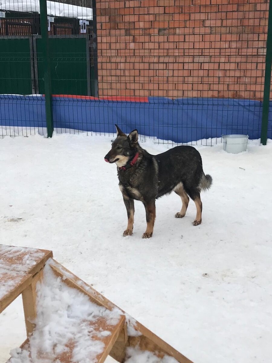 Масиро сиина. Она милая девочка. Карина стримерша. Она милая девочка. Она милая девочка.