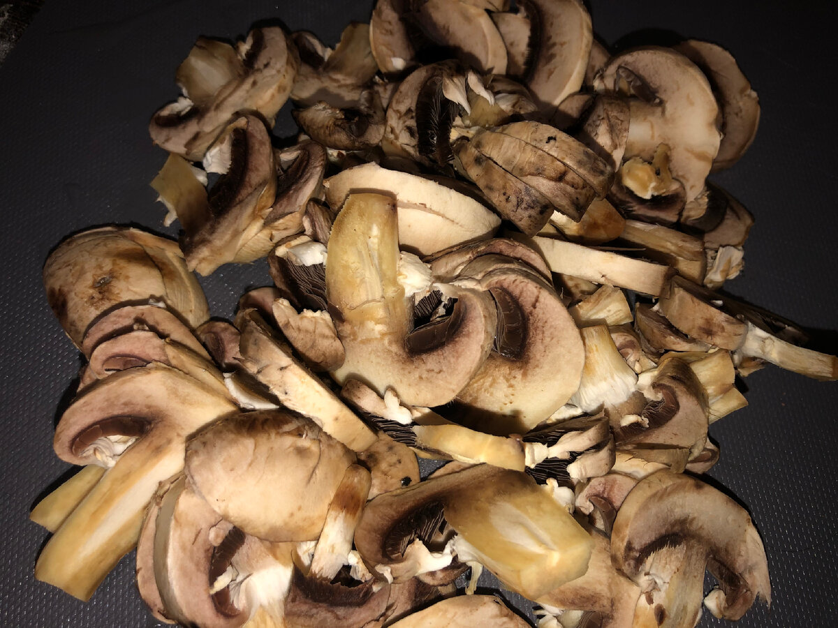 съедобные грибы названия. съедобные грибы сыроежки подберезовик и это шампиньоны. съедобные грибы синие в киргизии. боровик роды грибов. ложный белый горчак.