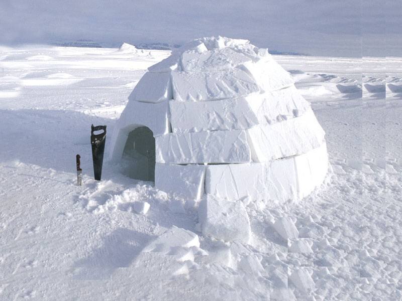 Житель иглу. Иглу жилище эскимосов. Аляска Эскимосы иглу. Иглу жилище эскимосов внутри. Игла традиционное жилище эскимосов.