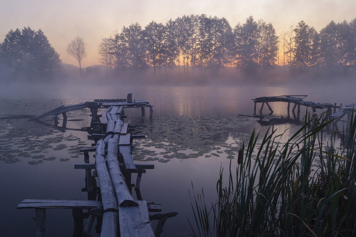 яндекс картинки