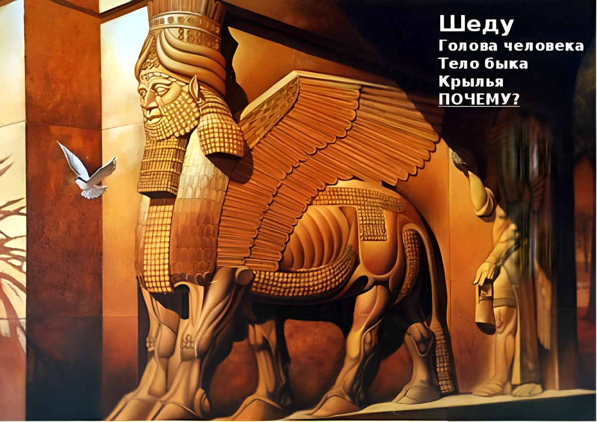 Крылатый бык. Шеду Ассирия. Пятиногий бык Шеду. Шеду Вавилон. Быки Шеду в Ассирии.