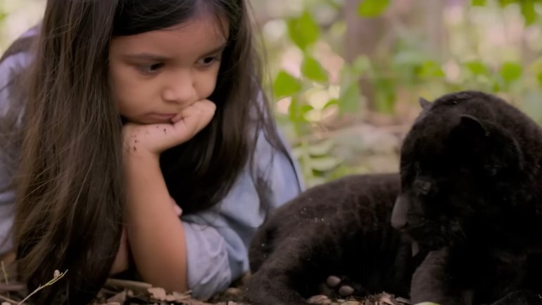    Кадр из фильма «Элла и черный ягуар»