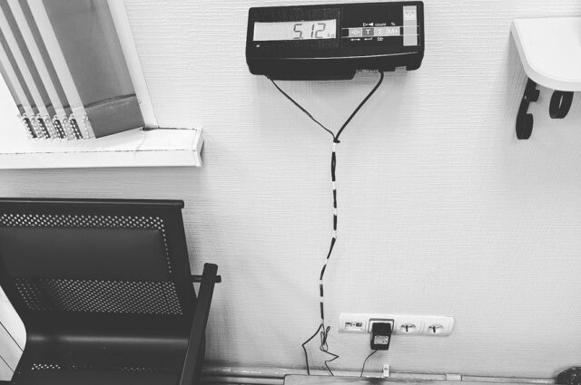    Фото: Инициативная группа по защите животных г. Твери