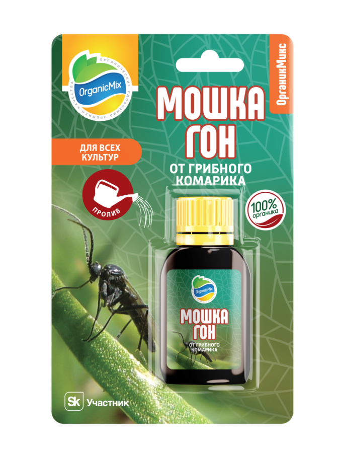 Маленькие мошки в квартире. Маленькие мушки в квартире. Мошки в квартире. Маленькие насекомые типа мошки. Мелкие насекомые.