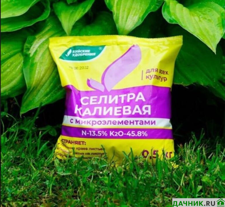 Калийная селитра для сада, огорода, цветника | Дачник.RU | Дзен