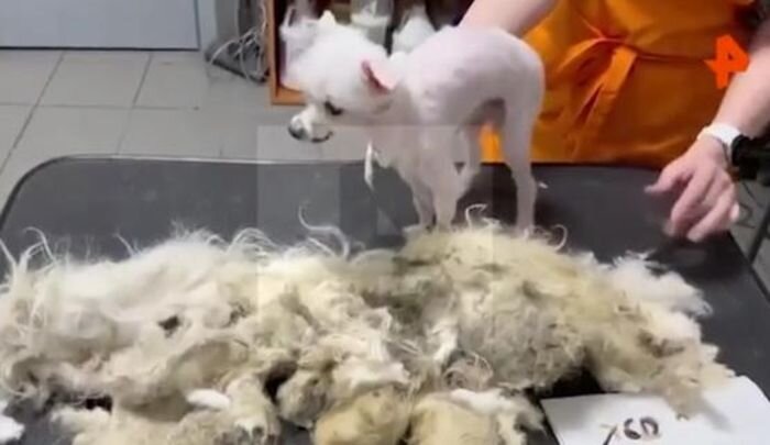 Источник фото: скриншот видео/ РЕН ТВ