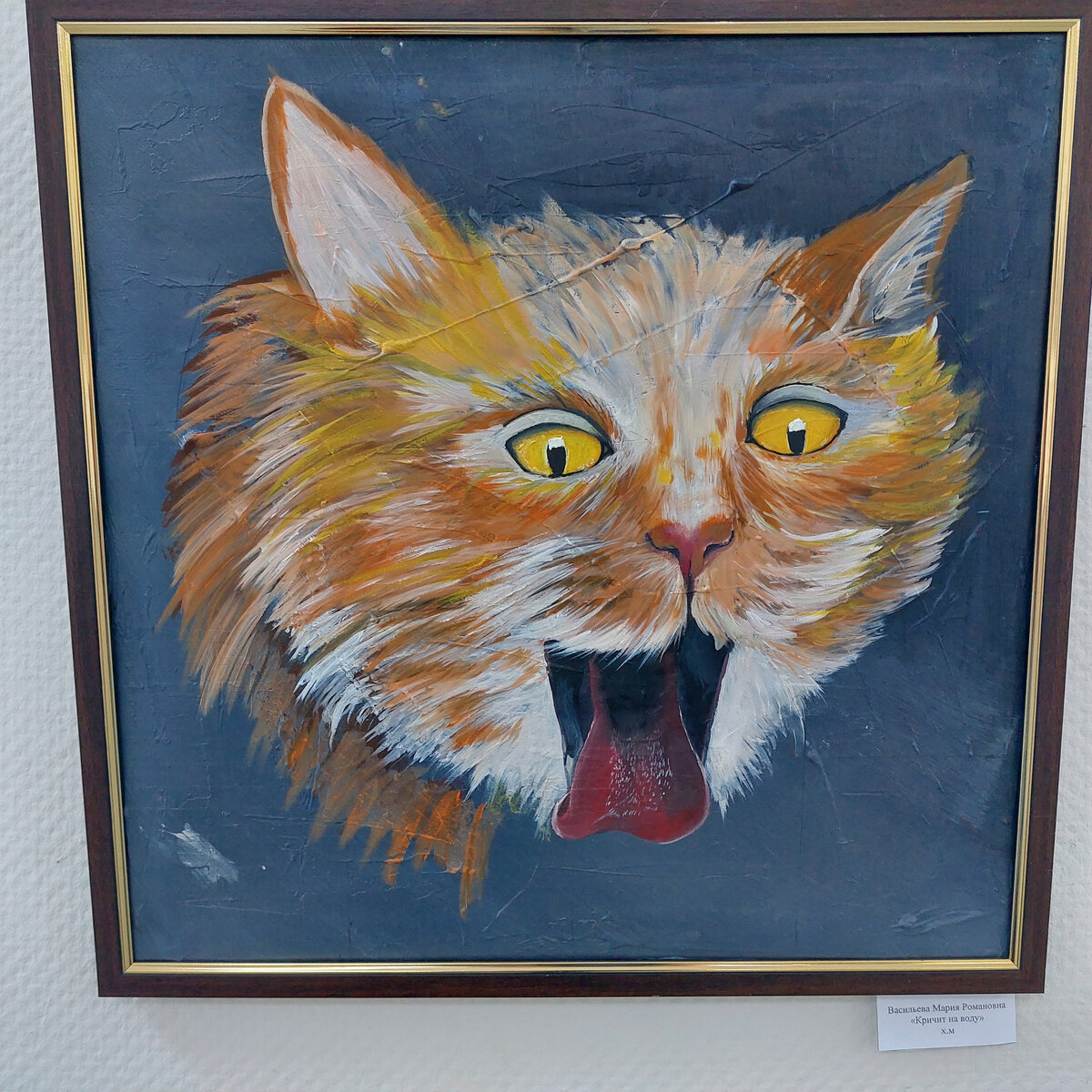 Кот меня пугает