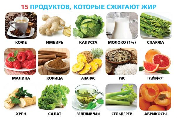 продукты запрещенные при диарее. номер диеты при заболевании почек. чем питаться при воспалении поджелудочной железы. стол при почечных заболеваниях. мочь ел 7.