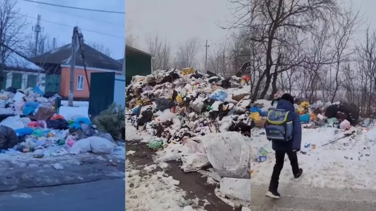 Просто завалило город