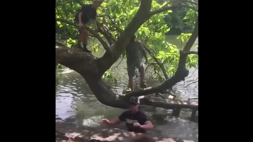 смех слезы видео. девушка смех сквозь слезы. ржачные фото людей до слез. смех слезы видео. интересные короткие видеоролики.