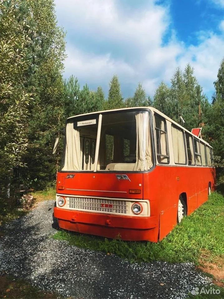   Ikarus 260           