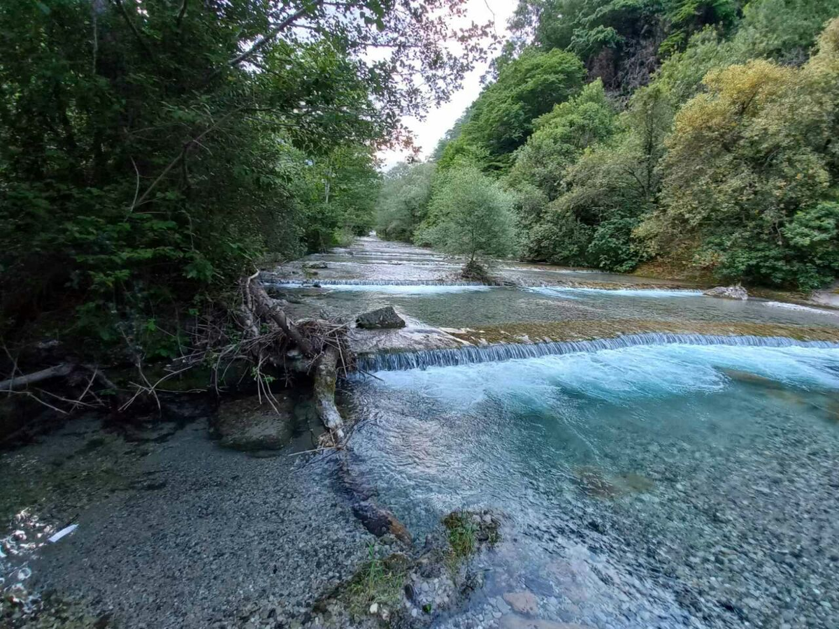 Фото автора.