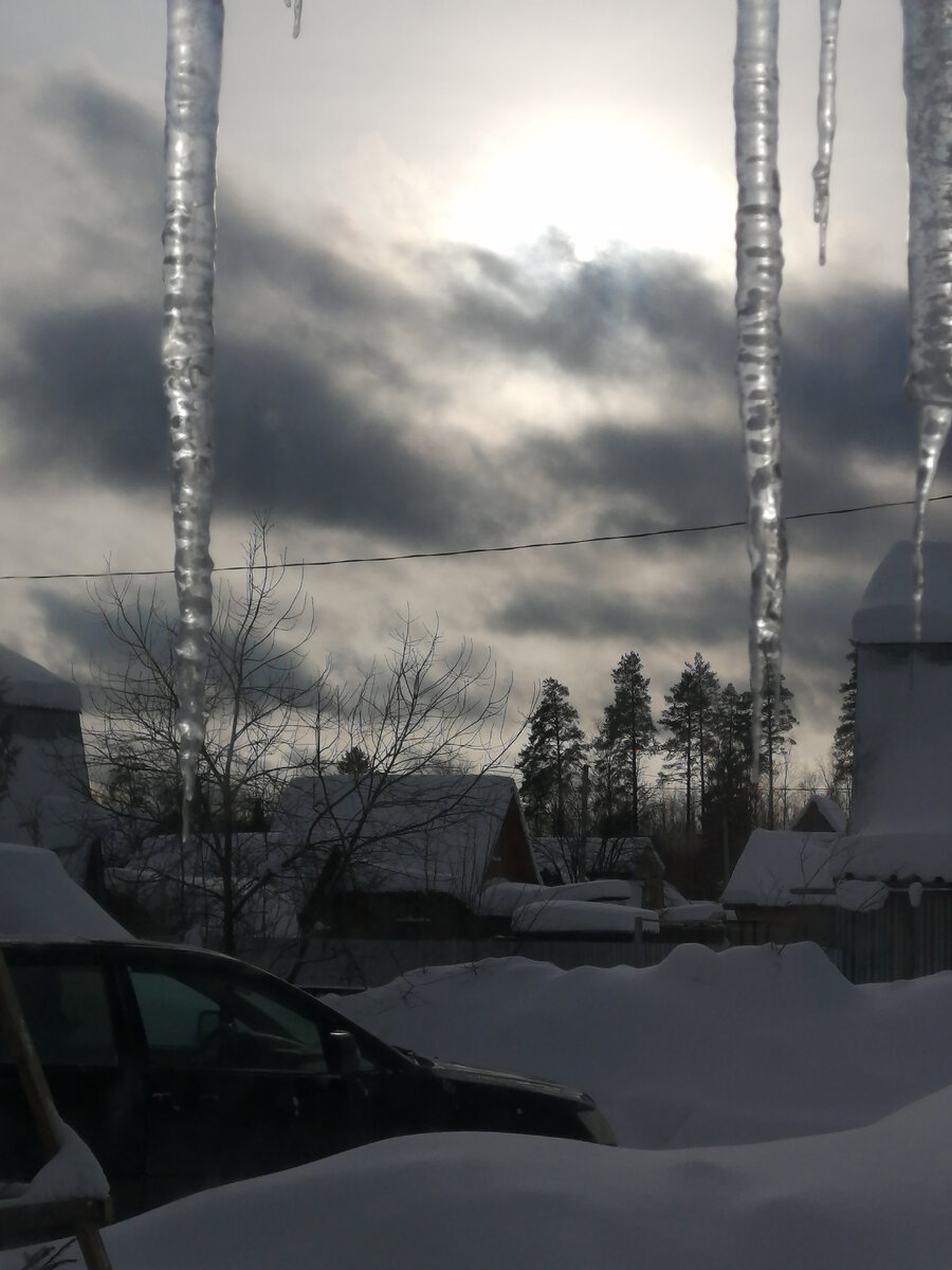 цените каждый день цитаты. цветы в ботинках. завтра всегда новый день в котором еще нет ошибок. сегодня уходило во вчера. бы ни был сегодня день.